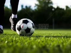 央视就,转播传闻表,主权立场坚,欧博官网,欧博abg官网入口,欧博网站,欧博官网娱乐,欧博abg,欧博abg登录入口