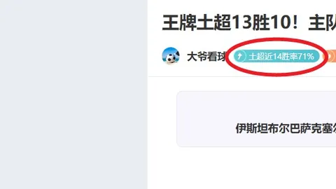 逆势崛起！森林狼主场神勇，胜利光芒照亮支持者期待之外的道路