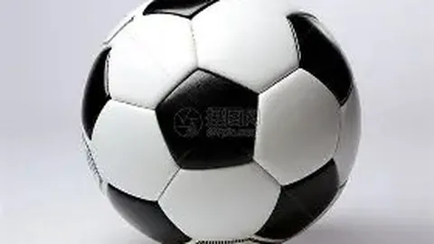 争议升级：美网混双赛澳网未跟进相似事件声明